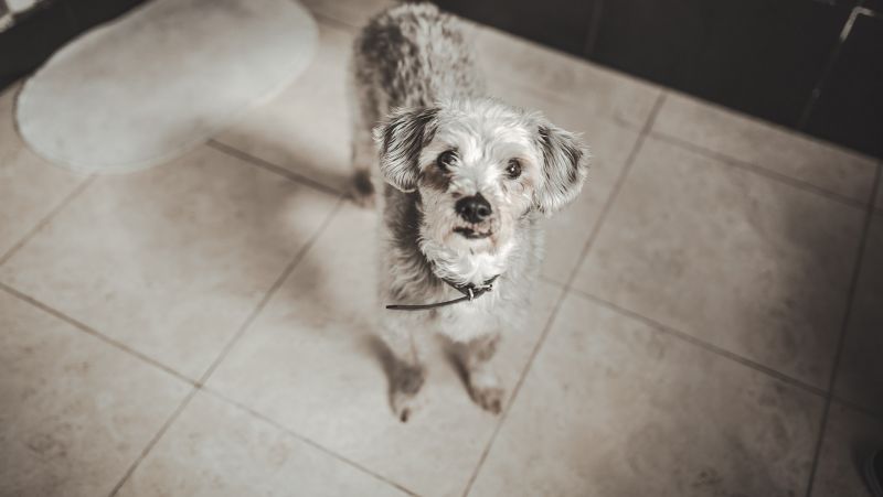 post boda borja noelia 001